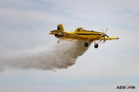 img of Brasileiros e argentinos unem forças no combate a incêndios na África