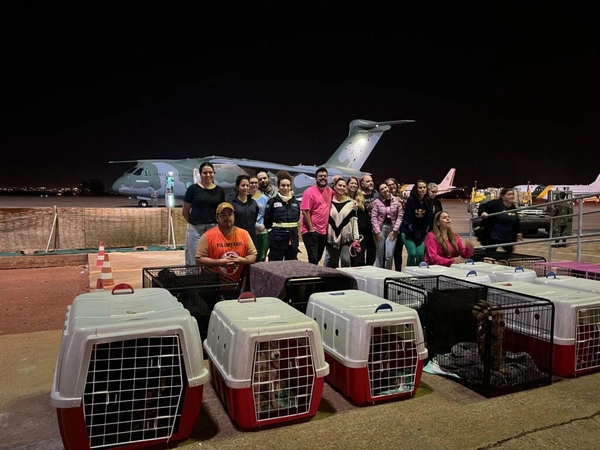 img of KC-390 voa com 20 pets resgatados do RS para novos lares