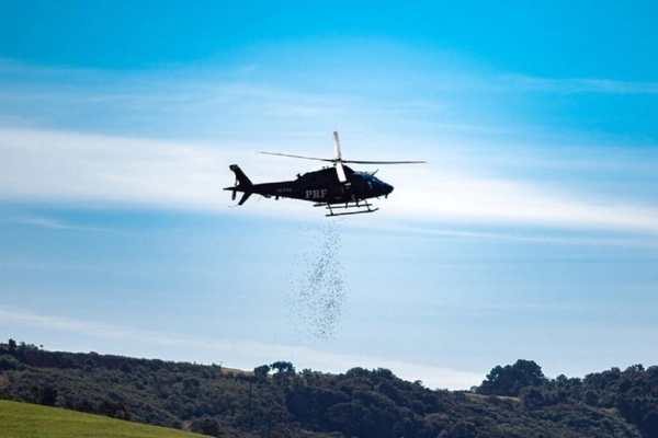 img of Helicóptero PRF espalha sementes nativas em voo no Paraná