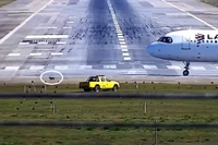 img of Cão em pista de Guarulhos afeta operações aéreas prolongadamente