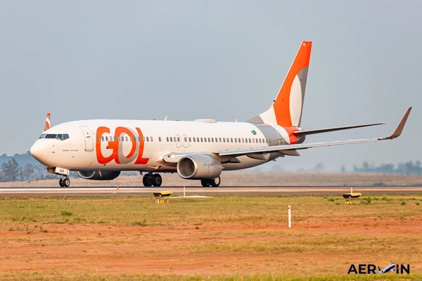 img of Justiça do Acre autoriza cliente da Gol a embarcar com dois felinos em avião