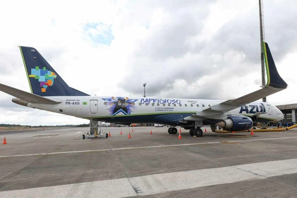 img of Avião pintado de azul homenageia dois bois de festival para contentar público